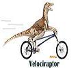 Avatar de velociraptor